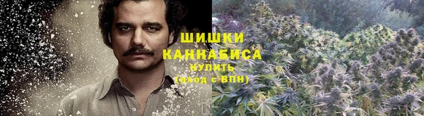 spice Михайловка