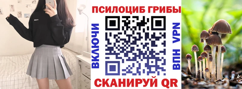 Псилоцибиновые грибы Cubensis Нижневартовск