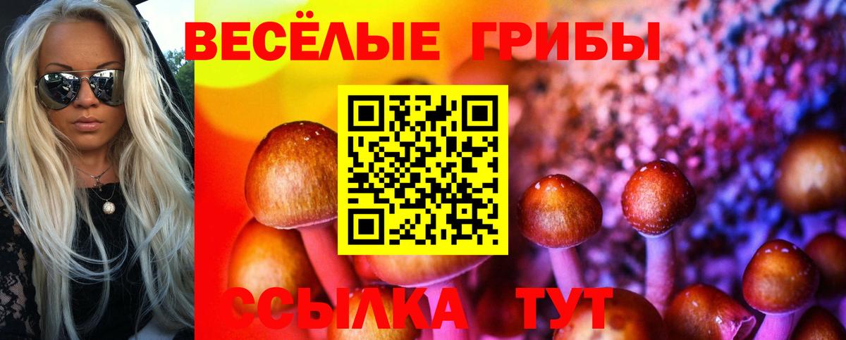 Псилоцибиновые грибы MAGIC MUSHROOMS Нижневартовск
